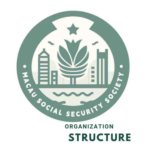 The 13th organizational structure